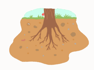 木の根っこのイメージ